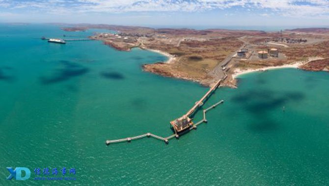 博洛尼亚主帅：球队配得上参加意超杯，国米是杯赛的夺冠热门（博洛尼亚主帅：我们理应出战意超杯，国米是夺冠头号热门）